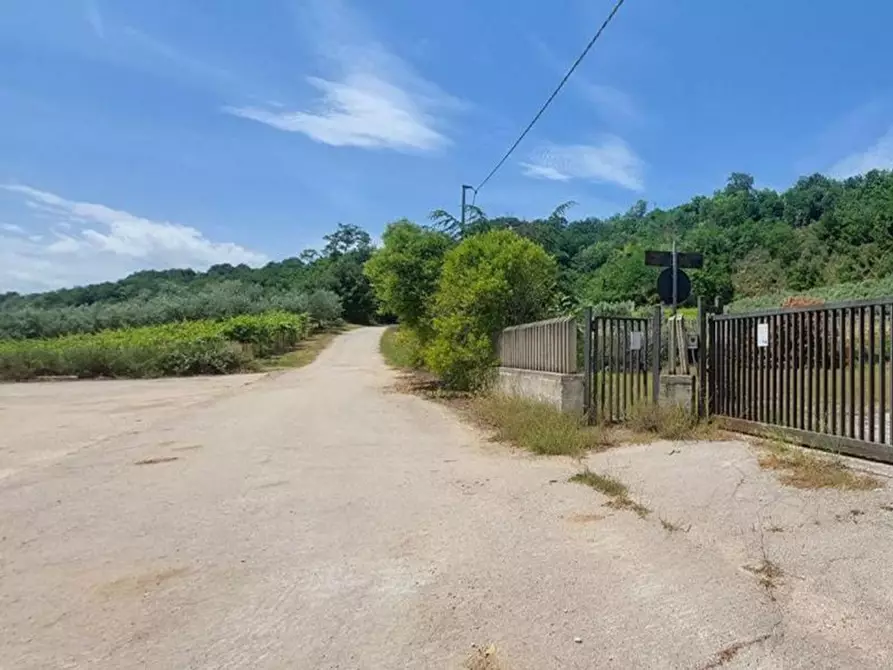 Immagine 12 di Capannone industriale in vendita  in Via Arenella, N. 1 a Giuliano Teatino