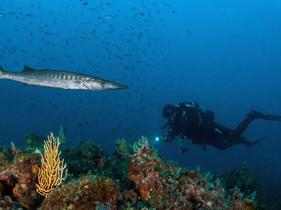 Immagine 18 di Attico in vendita  in Via del Littorale, N. 164 a Livorno