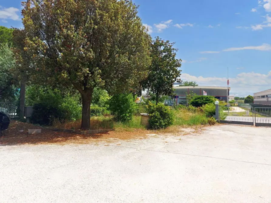 Immagine 2 di Capannone industriale in vendita  in Via Clementina Nord, N. 117/C a Maiolati Spontini