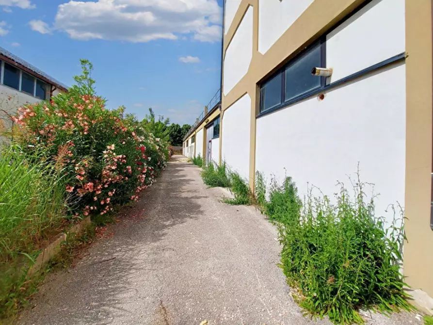 Immagine 3 di Capannone industriale in vendita  in Via Clementina Nord, N. 117/C a Maiolati Spontini