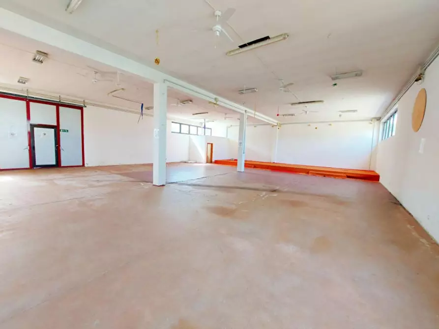 Immagine 6 di Capannone industriale in vendita  in Via Clementina Nord, N. 117/C a Maiolati Spontini