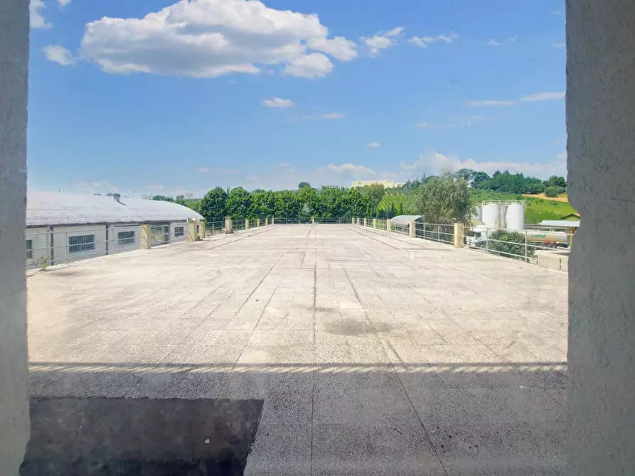 Immagine 12 di Capannone industriale in vendita  in Via Clementina Nord, N. 117/C a Maiolati Spontini