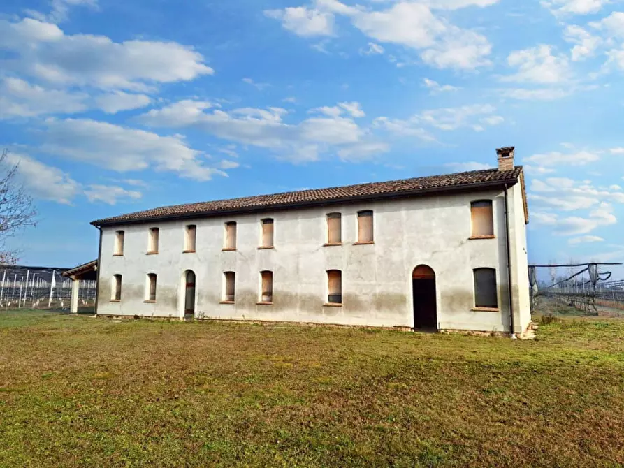 Immagine 1 di Casa indipendente in vendita  in Via San Vitale, N. snc a Russi