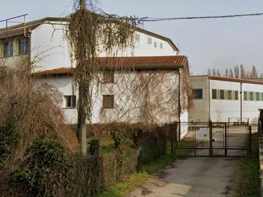 Immagine 23 di Ufficio in vendita  in Viale Porta Po, N. 101 a Rovigo