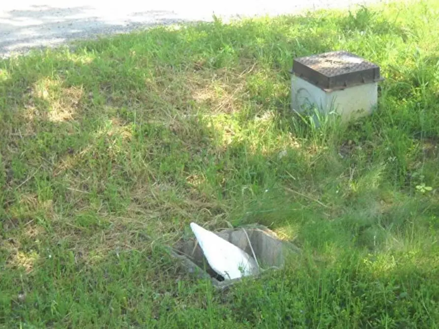 Immagine 5 di Capannone industriale in vendita  in Via Casole Cavallano, N. 101 a Casole D'elsa