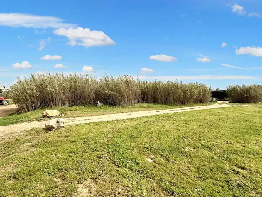 Immagine 2 di Terreno in vendita  in Strada Provinciale 217, N. SNC a Porto Cesareo