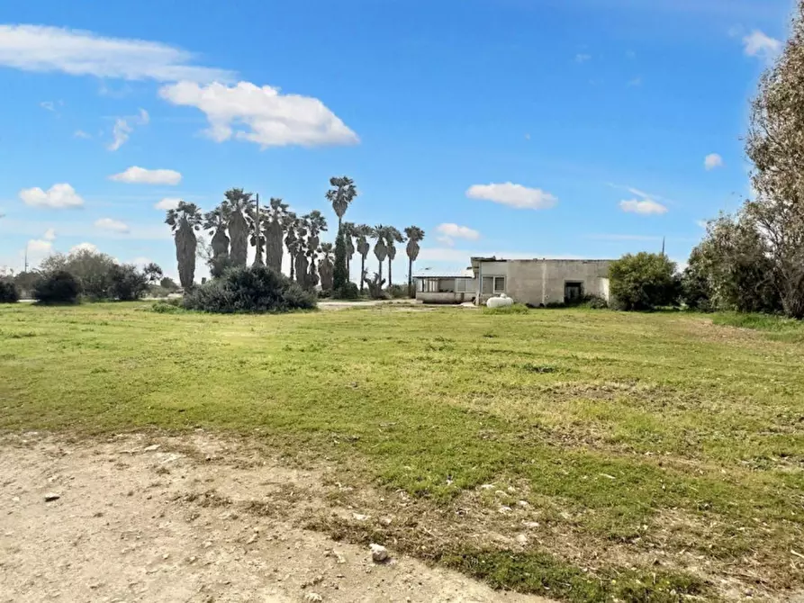 Immagine 3 di Terreno in vendita  in Strada Provinciale 217, N. SNC a Porto Cesareo