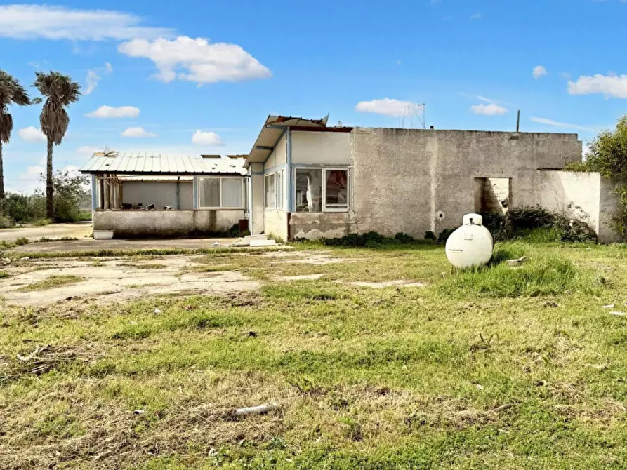 Immagine 4 di Terreno in vendita  in Strada Provinciale 217, N. SNC a Porto Cesareo
