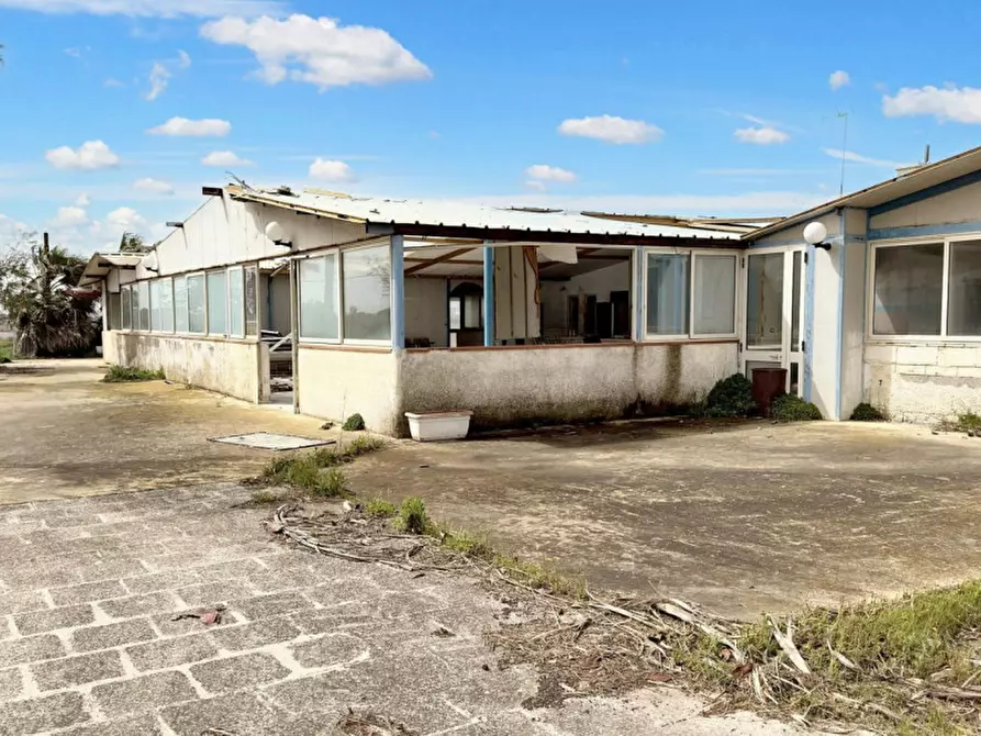 Immagine 5 di Terreno in vendita  in Strada Provinciale 217, N. SNC a Porto Cesareo