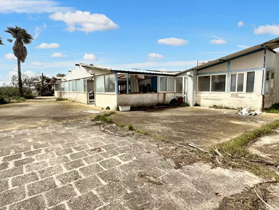 Immagine 6 di Terreno in vendita  in Strada Provinciale 217, N. SNC a Porto Cesareo