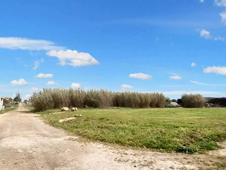 Immagine 8 di Terreno in vendita  in Strada Provinciale 217, N. SNC a Porto Cesareo