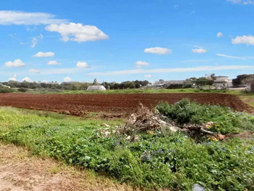 Immagine 9 di Terreno in vendita  in Strada Provinciale 217, N. SNC a Porto Cesareo
