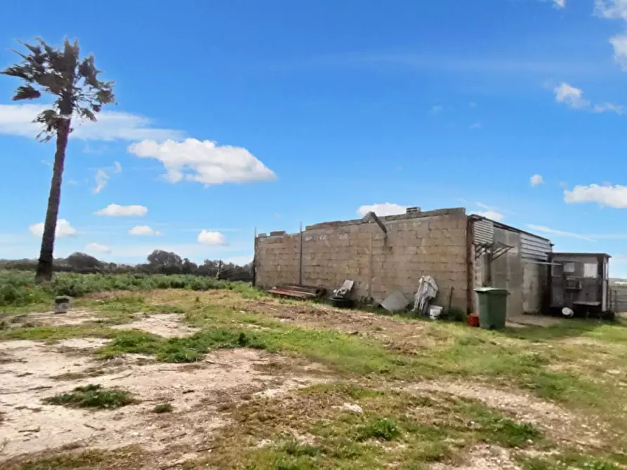 Immagine 11 di Terreno in vendita  in Strada Provinciale 217, N. SNC a Porto Cesareo