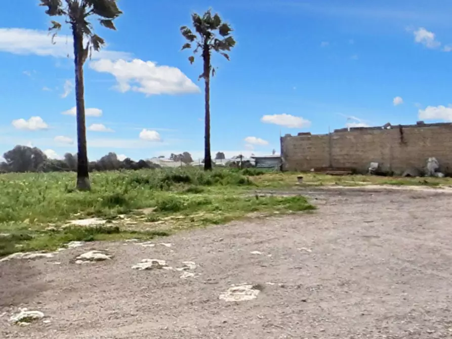 Immagine 12 di Terreno in vendita  in Strada Provinciale 217, N. SNC a Porto Cesareo