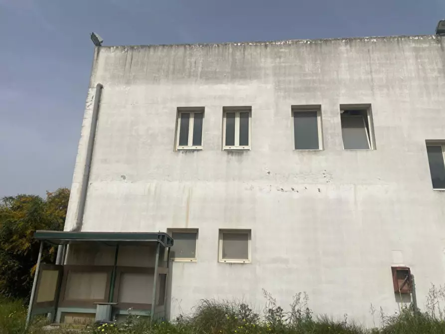 Immagine 3 di Capannone industriale in vendita  in Iglesias, N. snc a Iglesias