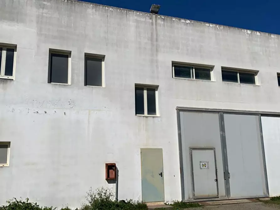 Immagine 4 di Capannone industriale in vendita  in Iglesias, N. snc a Iglesias