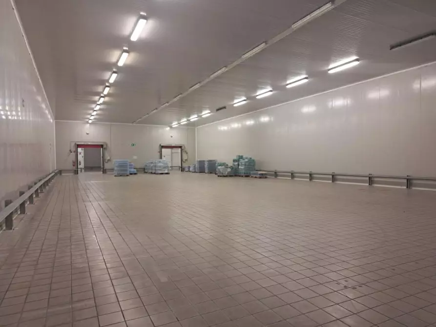 Immagine 6 di Capannone industriale in vendita  in Via del Lavoro, 3, 35026 Zona Industriale PD, Italia a Conselve