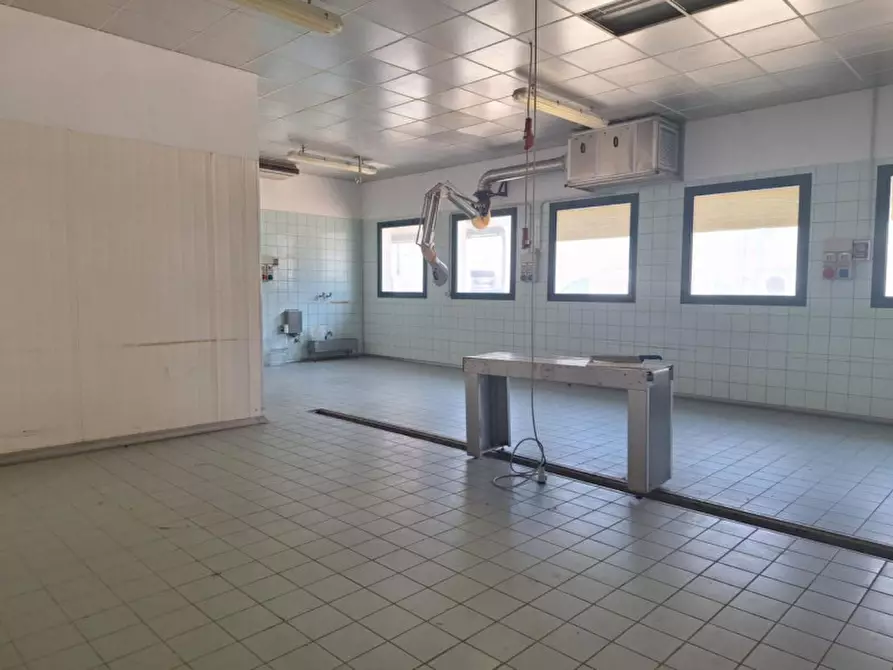 Immagine 11 di Capannone industriale in vendita  in Via del Lavoro, 3, 35026 Zona Industriale PD, Italia a Conselve