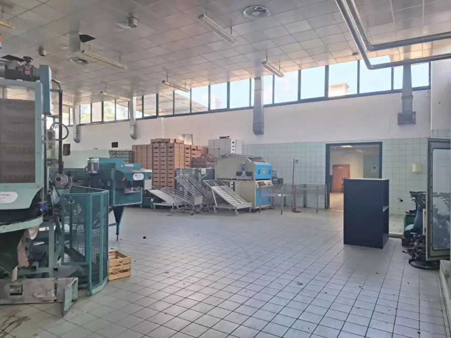 Immagine 14 di Capannone industriale in vendita  in Via del Lavoro, 3, 35026 Zona Industriale PD, Italia a Conselve