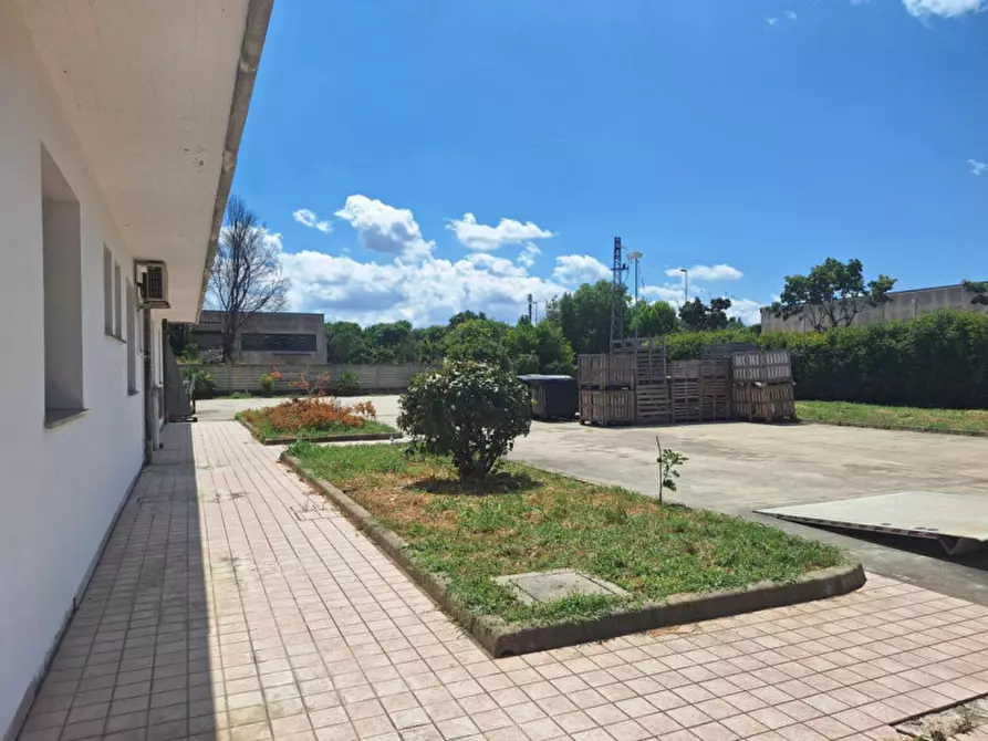 Immagine 15 di Capannone industriale in vendita  in Via del Lavoro, 3, 35026 Zona Industriale PD, Italia a Conselve