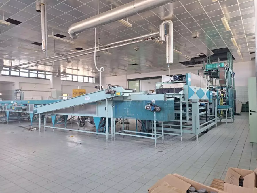 Immagine 16 di Capannone industriale in vendita  in Via del Lavoro, 3, 35026 Zona Industriale PD, Italia a Conselve