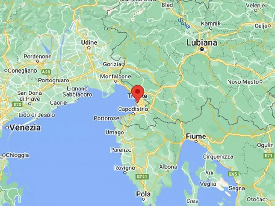 Immagine 12 di Negozio in vendita  in Via Italo Svevo, N. 14-16 a Trieste