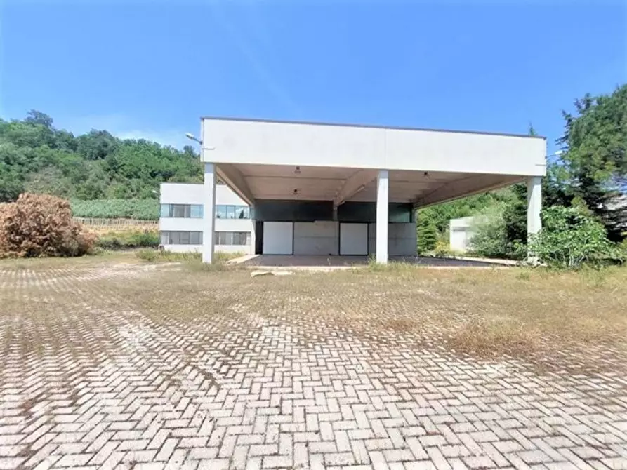 Immagine 4 di Capannone industriale in vendita  in Via Arenella, N. 1 a Giuliano Teatino