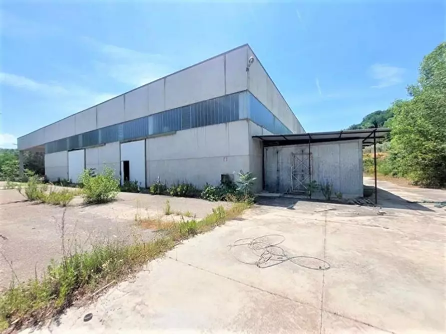 Immagine 5 di Capannone industriale in vendita  in Via Arenella, N. 1 a Giuliano Teatino