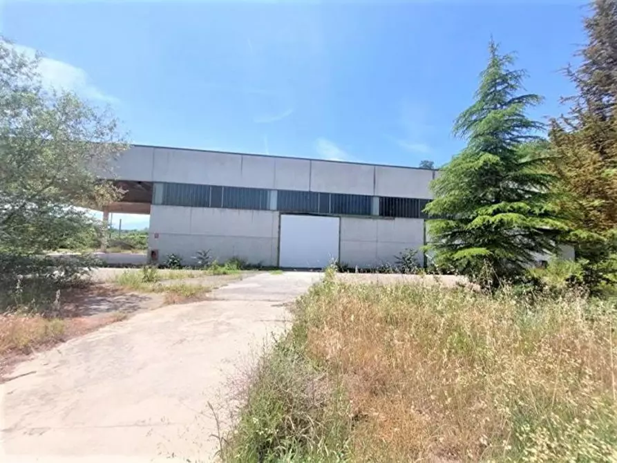 Immagine 6 di Capannone industriale in vendita  in Via Arenella, N. 1 a Giuliano Teatino