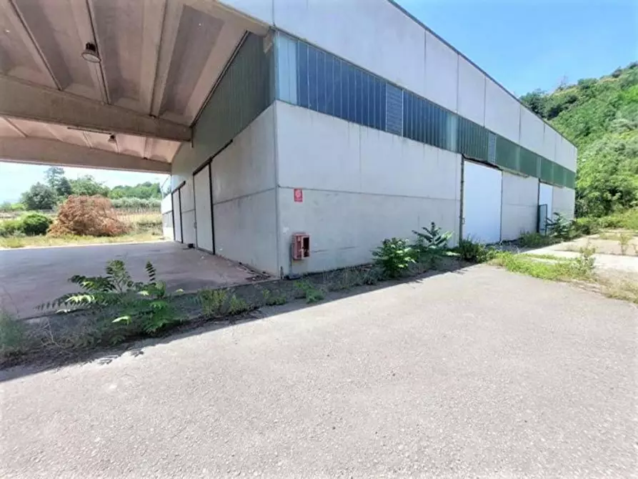 Immagine 7 di Capannone industriale in vendita  in Via Arenella, N. 1 a Giuliano Teatino