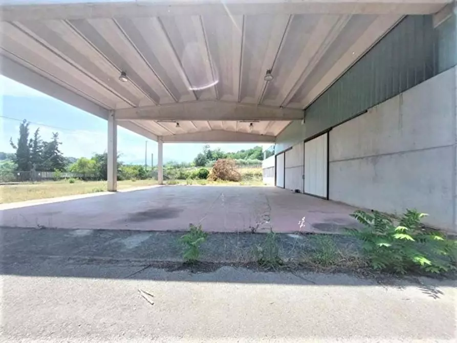 Immagine 8 di Capannone industriale in vendita  in Via Arenella, N. 1 a Giuliano Teatino