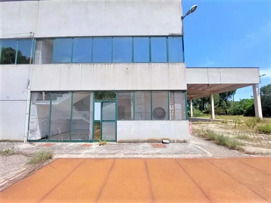 Immagine 9 di Capannone industriale in vendita  in Via Arenella, N. 1 a Giuliano Teatino