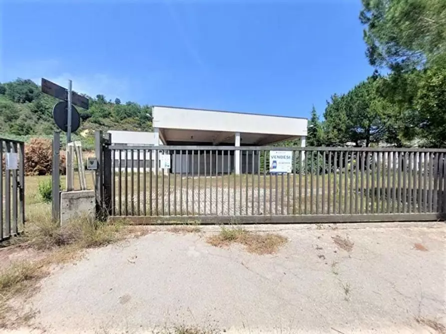 Immagine 11 di Capannone industriale in vendita  in Via Arenella, N. 1 a Giuliano Teatino