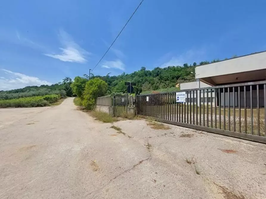 Immagine 12 di Capannone industriale in vendita  in Via Arenella, N. 1 a Giuliano Teatino