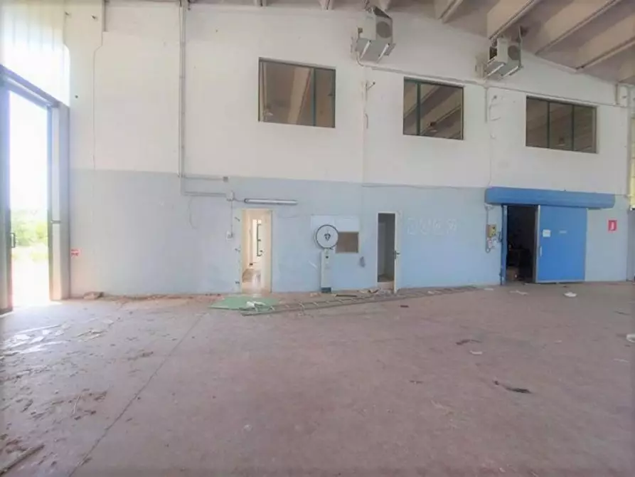Immagine 13 di Capannone industriale in vendita  in Via Arenella, N. 1 a Giuliano Teatino