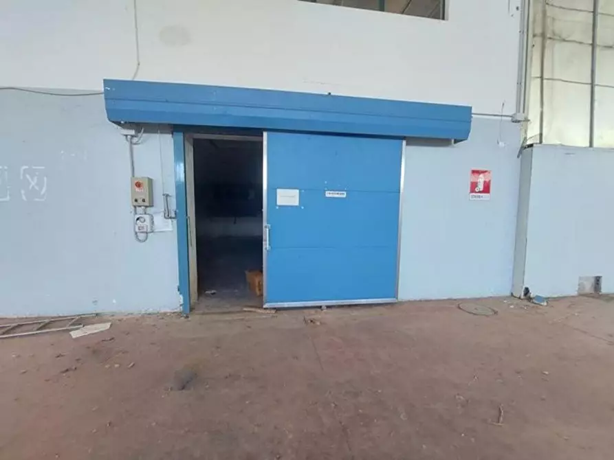 Immagine 14 di Capannone industriale in vendita  in Via Arenella, N. 1 a Giuliano Teatino