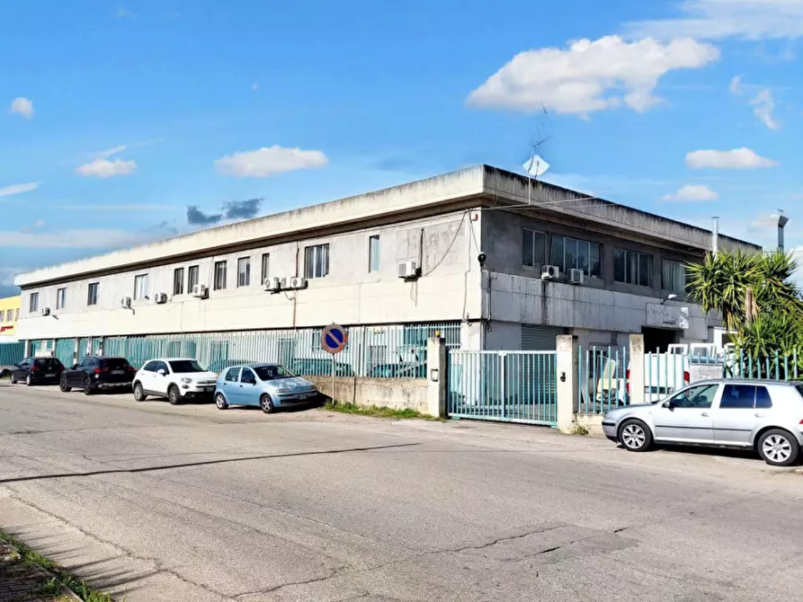 Immagine 1 di Capannone industriale in vendita  in Via Walter Tobagi, N. 65 a San Salvo