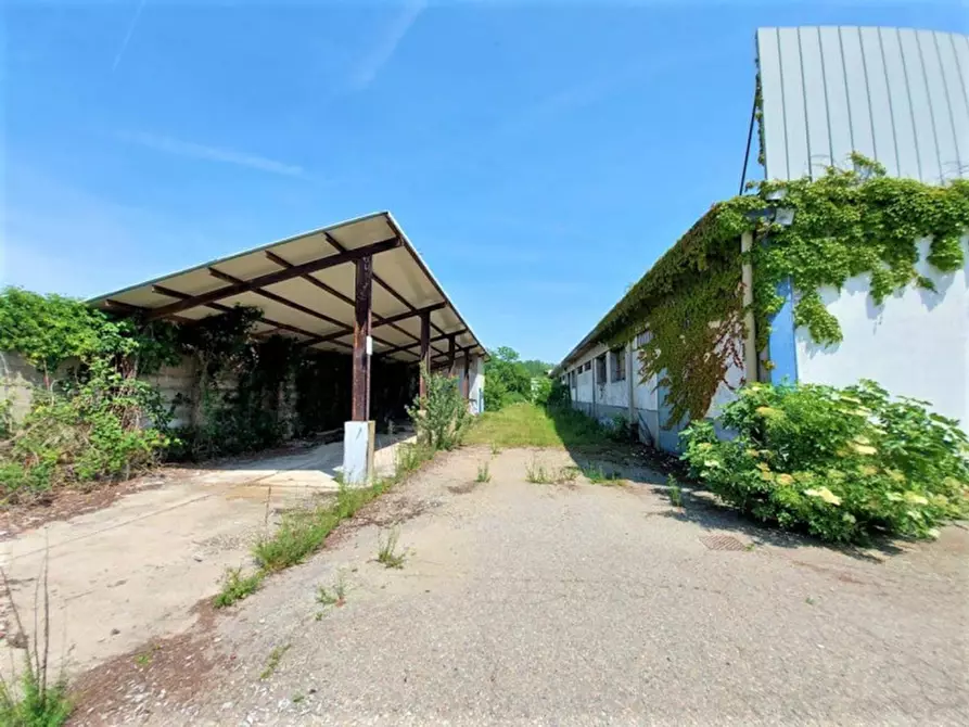 Immagine 11 di Capannone industriale in vendita  in Via Trecate, N. 19 a Romentino