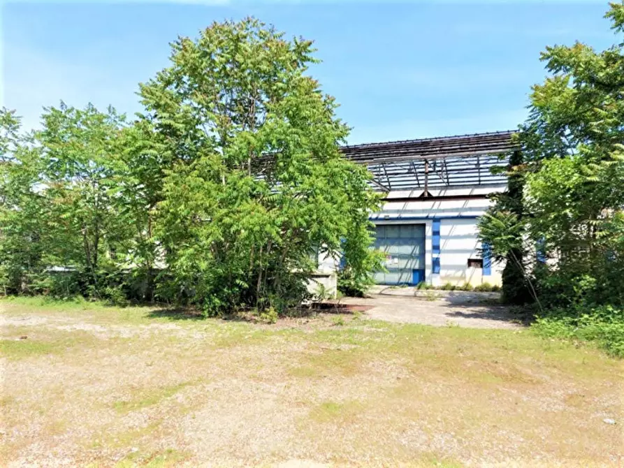 Immagine 13 di Capannone industriale in vendita  in Via Trecate, N. 19 a Romentino