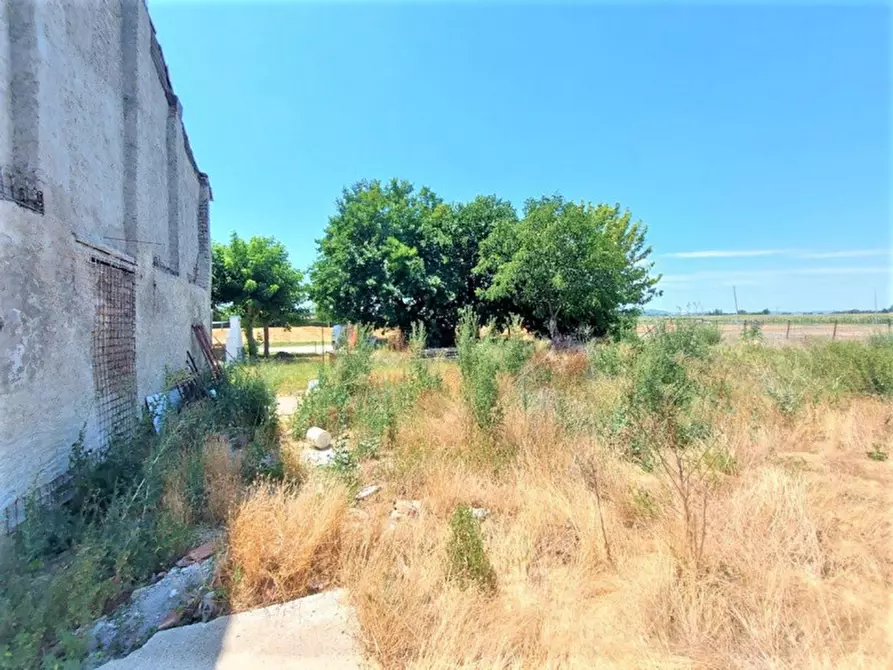 Immagine 3 di Rustico / casale in vendita  in Via San Giovanni, N. 1417 a Castel San Pietro Terme