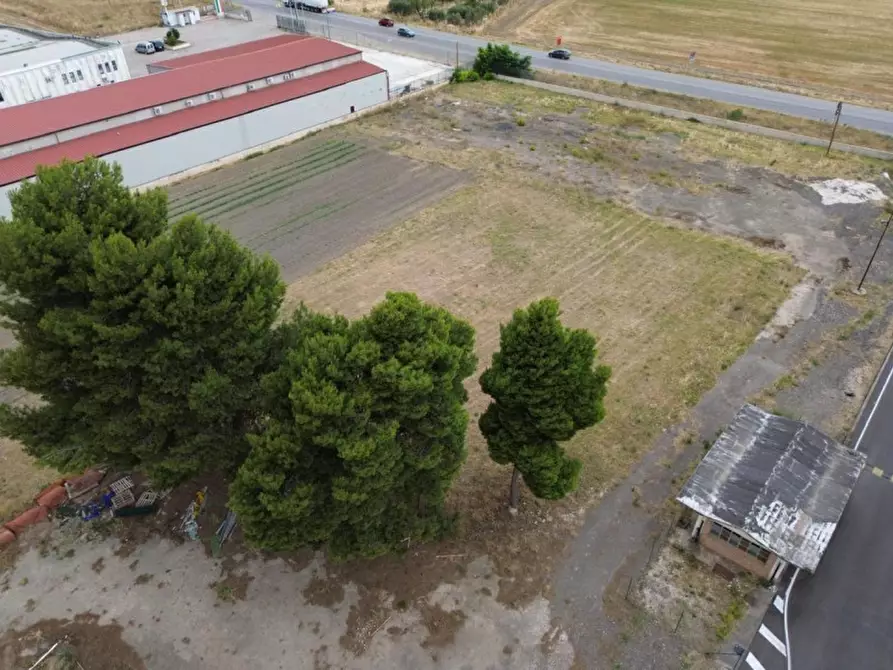Immagine 9 di Terreno in vendita  in Strada Statale 16 Adriatica, Foggia FG, Italia a Foggia