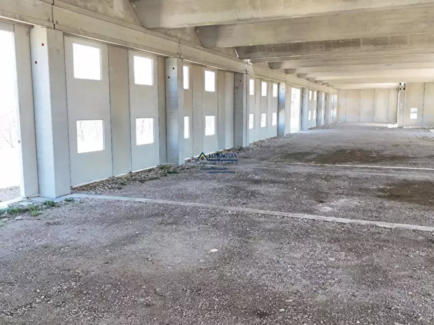 Immagine 3 di Capannone industriale in vendita  in Telese Terme a Telese Terme