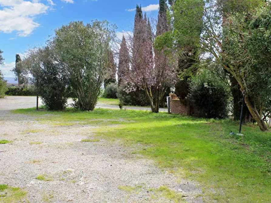 Immagine 6 di Attività commerciale in vendita  in Via di Casalpino - Loc. Cafaggio, N. 11 a Campiglia Marittima