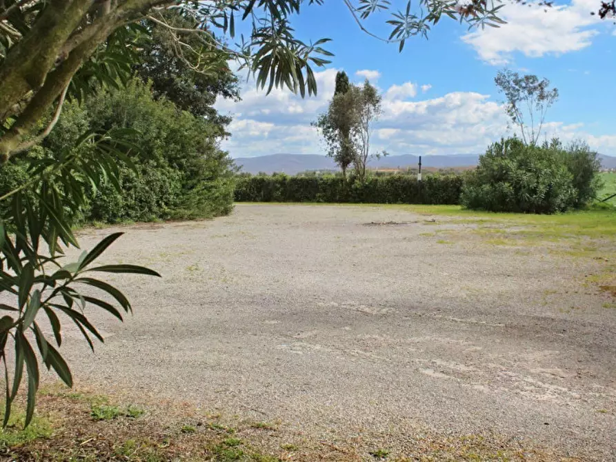 Immagine 7 di Attività commerciale in vendita  in Via di Casalpino - Loc. Cafaggio, N. 11 a Campiglia Marittima