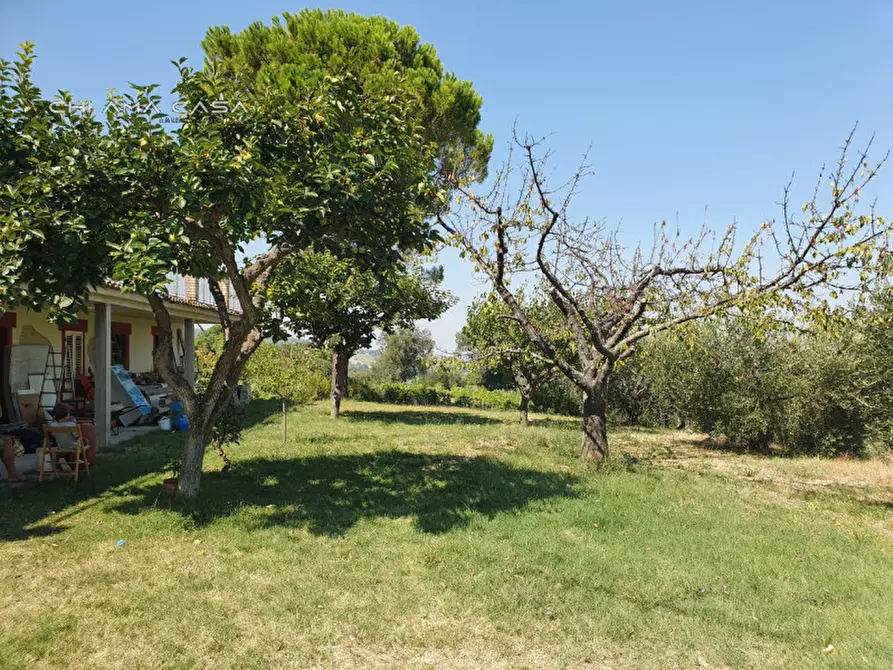 Immagine 3 di Casa indipendente in vendita  in Via Pontevecchio a Vallefoglia