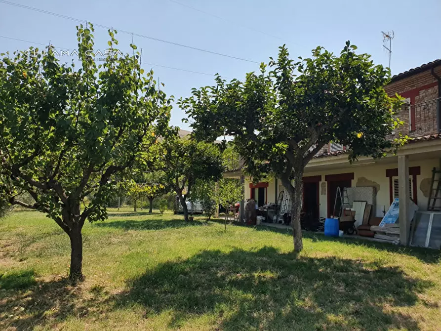Immagine 4 di Casa indipendente in vendita  in Via Pontevecchio a Vallefoglia