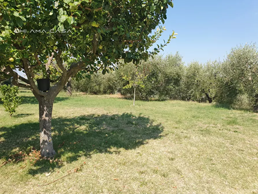 Immagine 5 di Casa indipendente in vendita  in Via Pontevecchio a Vallefoglia