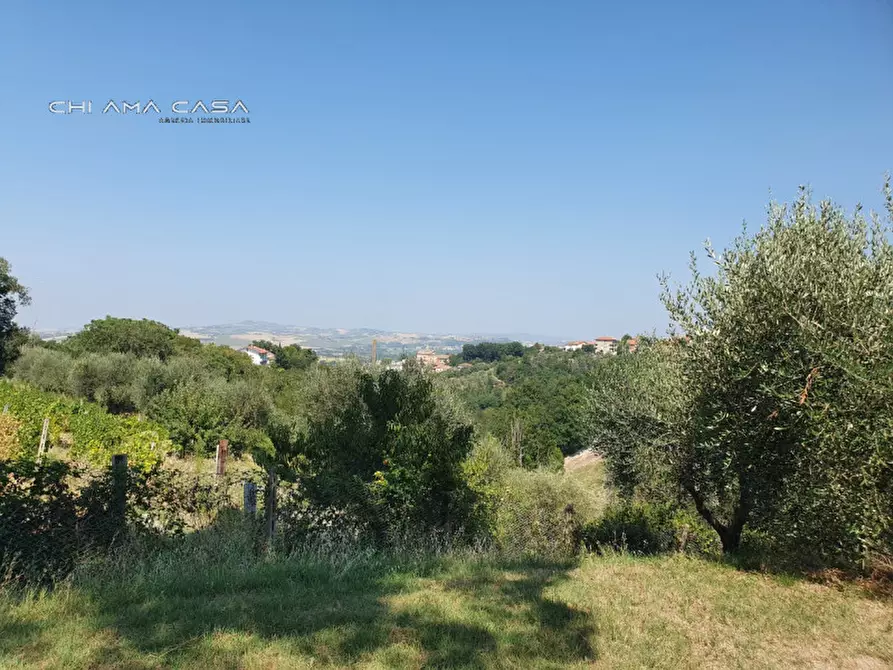 Immagine 6 di Casa indipendente in vendita  in Via Pontevecchio a Vallefoglia