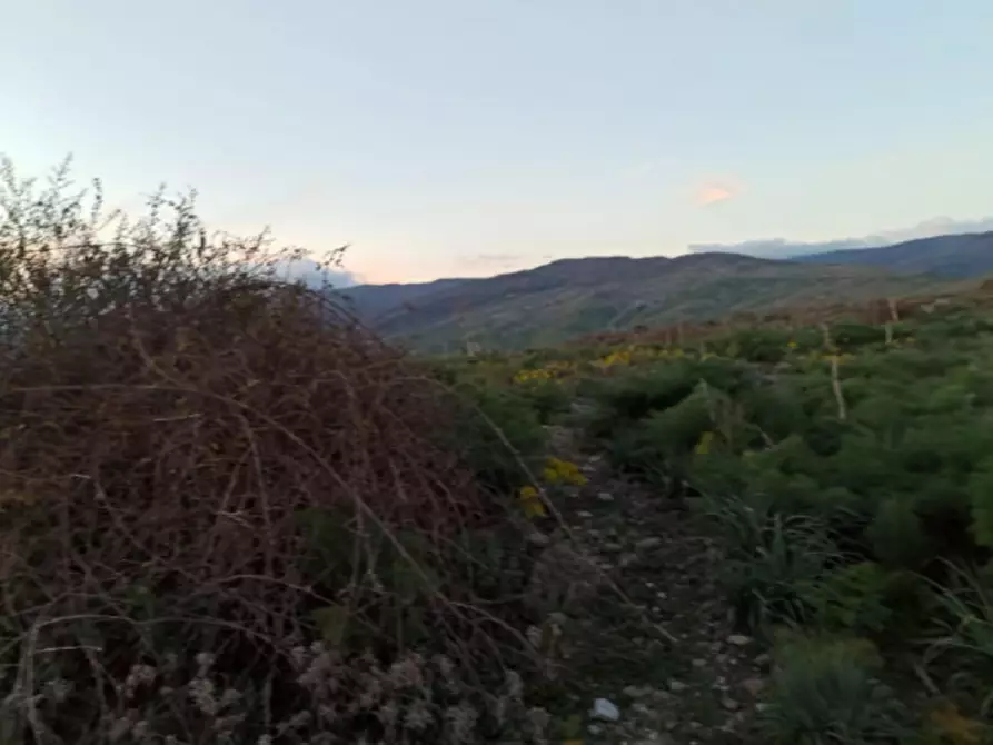 Immagine 2 di Terreno in vendita  in Contrada Balze Sottane a Bronte