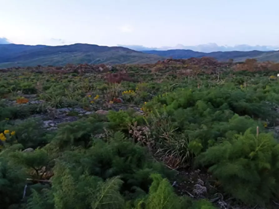 Immagine 3 di Terreno in vendita  in Contrada Balze Sottane a Bronte